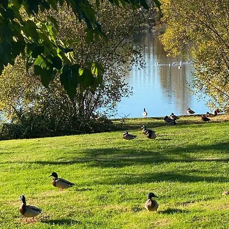 Puytraud 생팔레쉬르메르