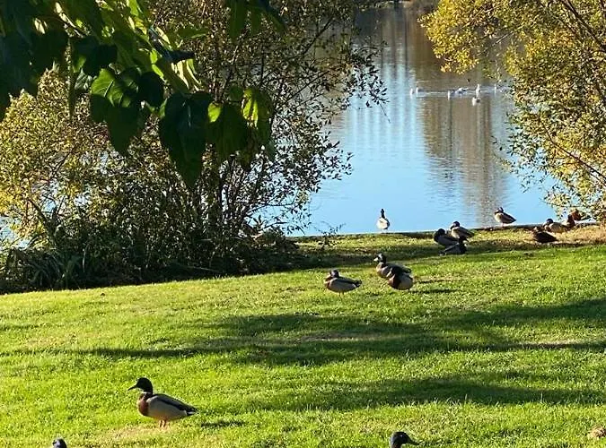 Puytraud 滨海圣帕莱