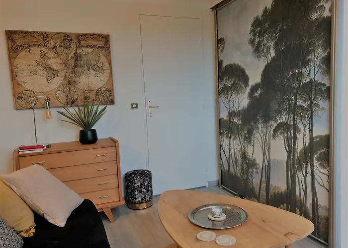 Puytraud 公寓 滨海圣帕莱